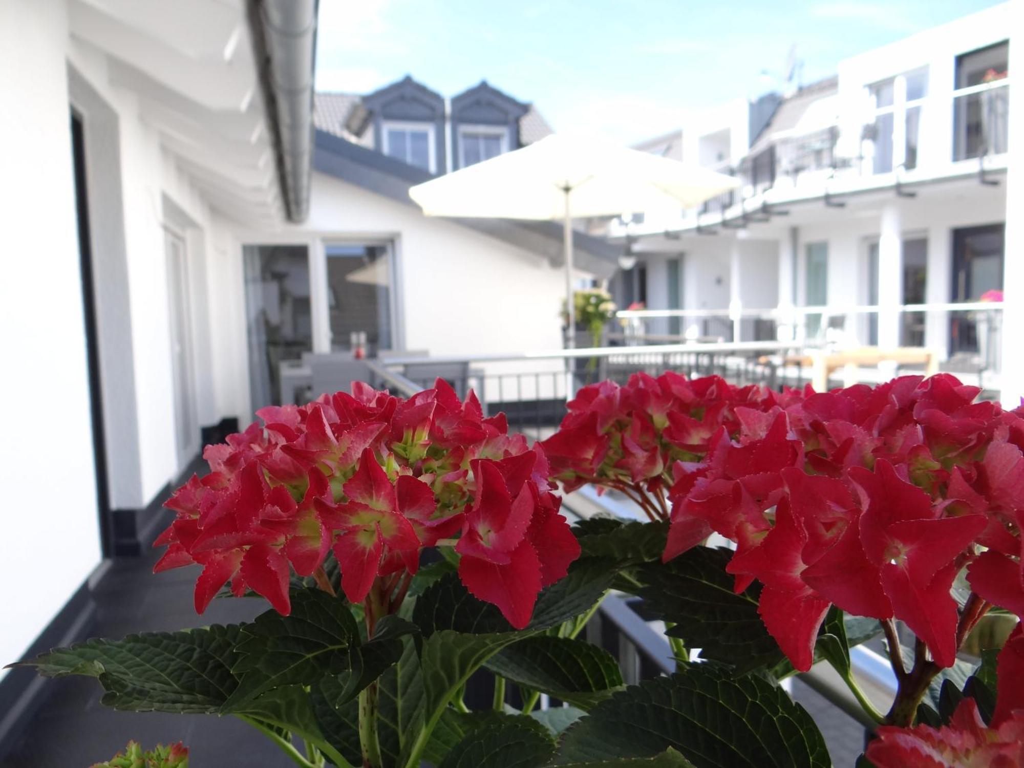 Ferienapartments Am Steinfelder Hof Bad Neuenahr-Ahrweiler Cameră foto